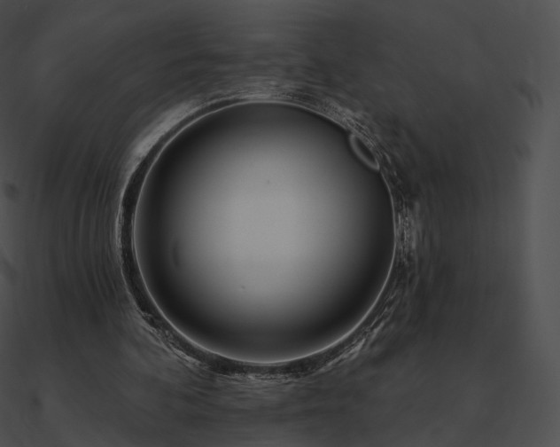 X0000090970292200708021443