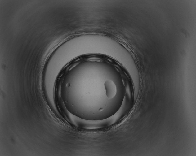 X0000090970293200708021443