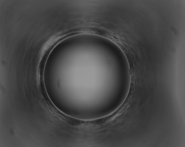 X0000090970294200708021443