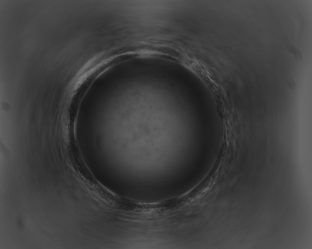 X0000090970295200708021443