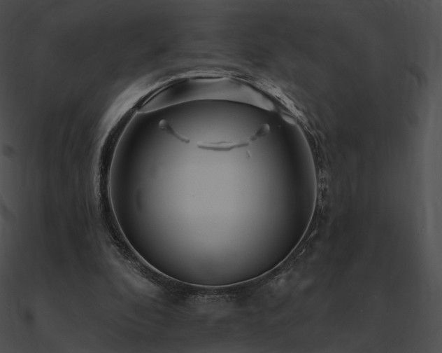 X0000090970296200708021443