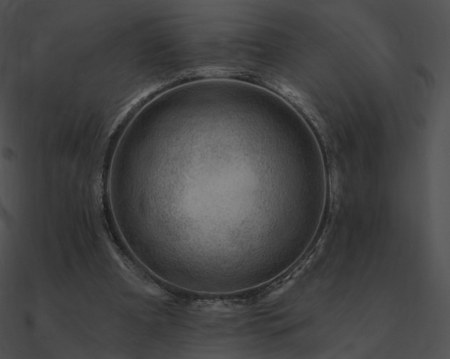 X0000090970297200708021443