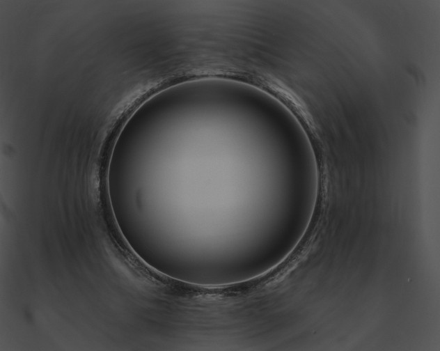 X0000090970298200708021443