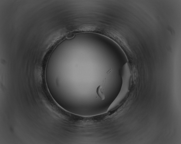 X0000090970300200708021443