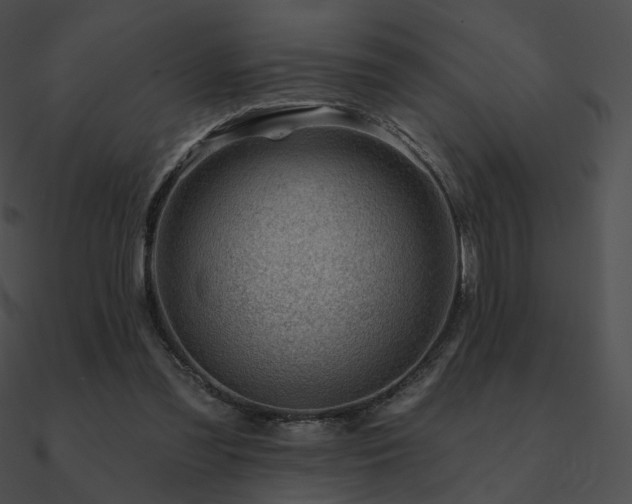 X0000090970301200708021443