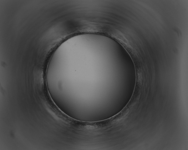 X0000090970302200708021443