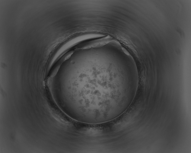 X0000090970303200708021443