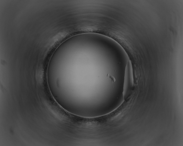 X0000090970304200708021443