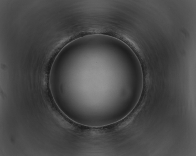 X0000090970305200708021443