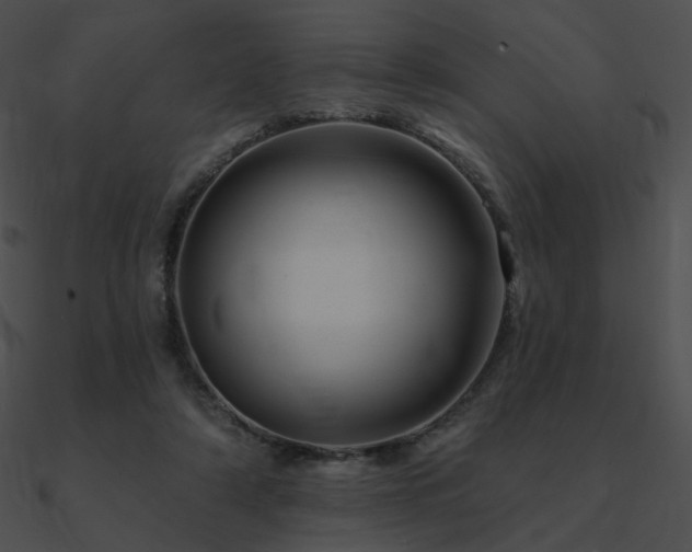 X0000090970306200708021443