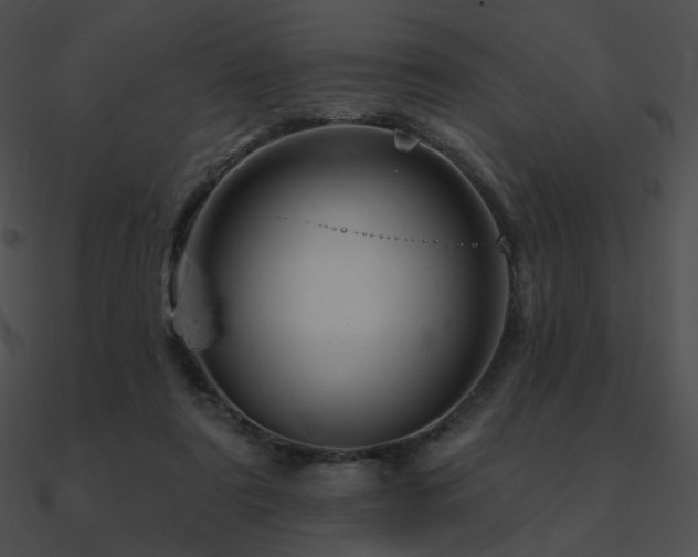 X0000090970307200708021443