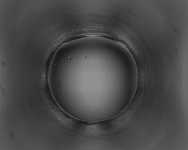 X0000090970309200708021443