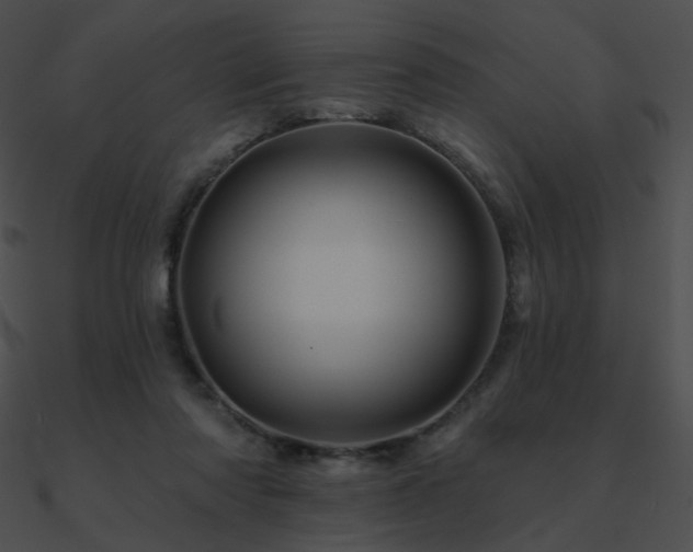 X0000090970310200708021443