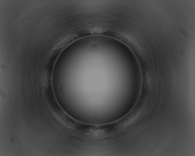 X0000090970311200708021443