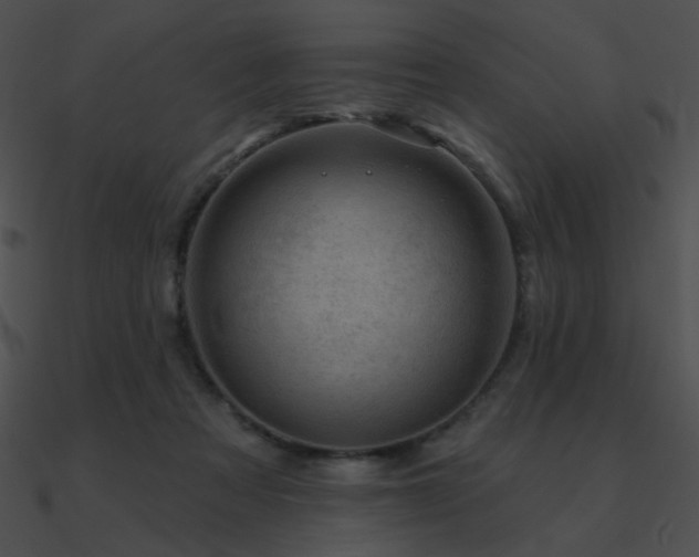 X0000090970313200708021443