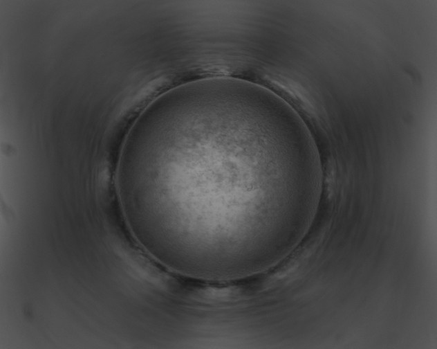 X0000090970314200708021443