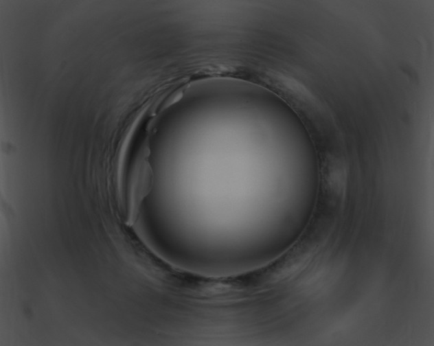 X0000090970315200708021443