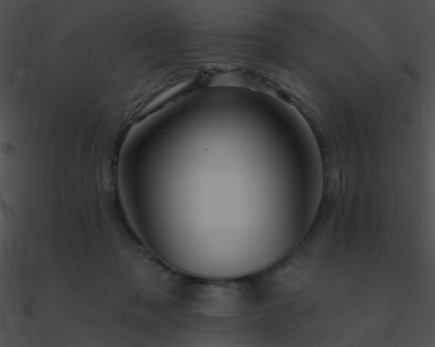 X0000090970317200708021443