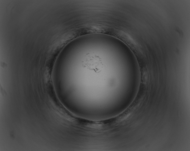 X0000090970318200708021443