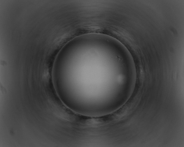 X0000090970320200708021443