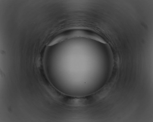 X0000090970323200708021443