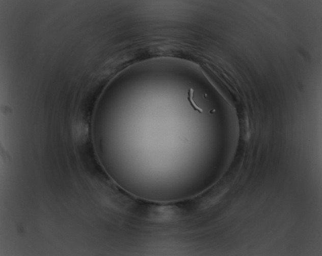 X0000090970324200708021443