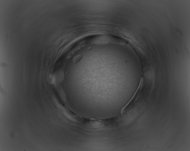 X0000090970325200708021443