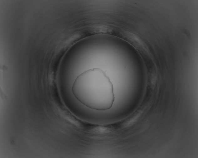 X0000090970326200708021443