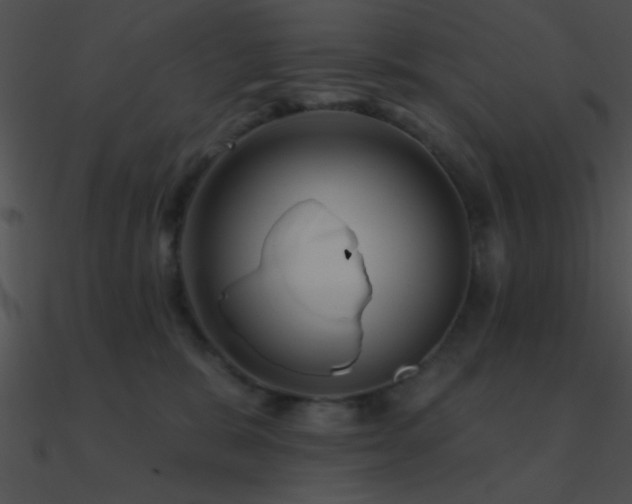 X0000090970327200708021443