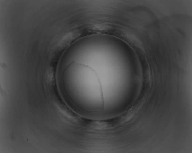 X0000090970328200708021443