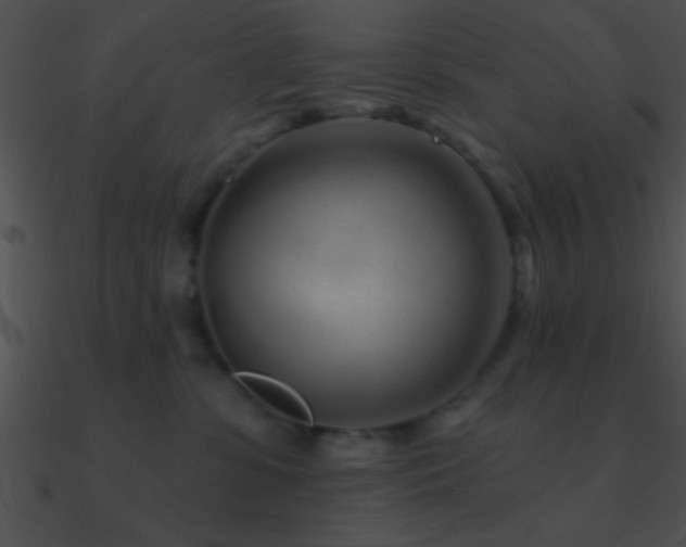 X0000090970331200708021443