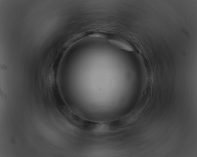 X0000090970335200708021442