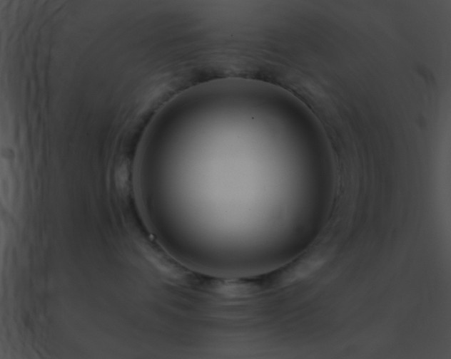 X0000090970336200708021442