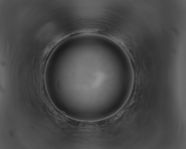 X0000090970337200708021442