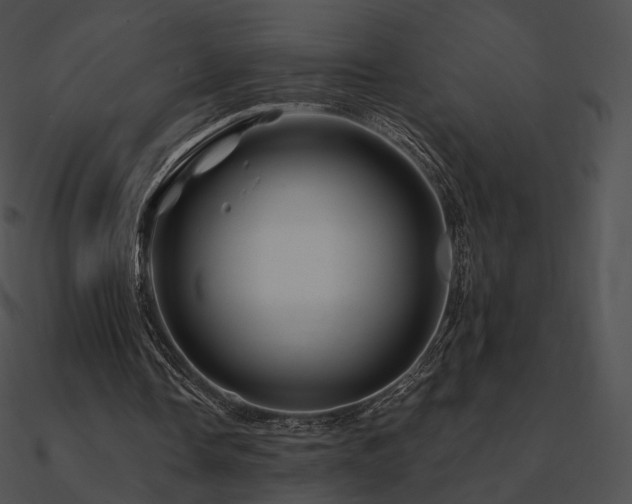 X0000090970338200708021442