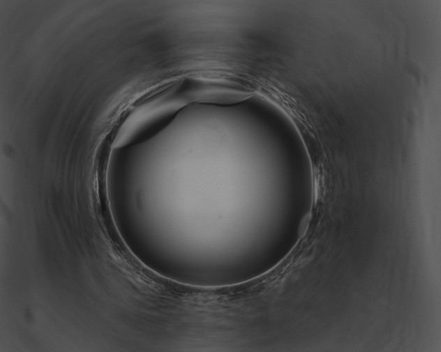 X0000090970339200708021442