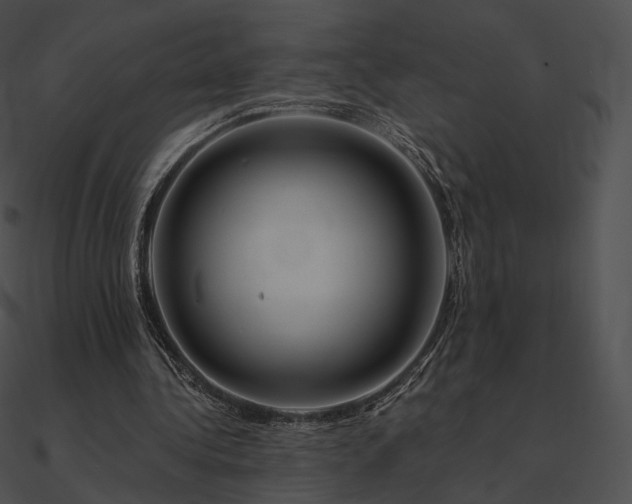 X0000090970340200708021442