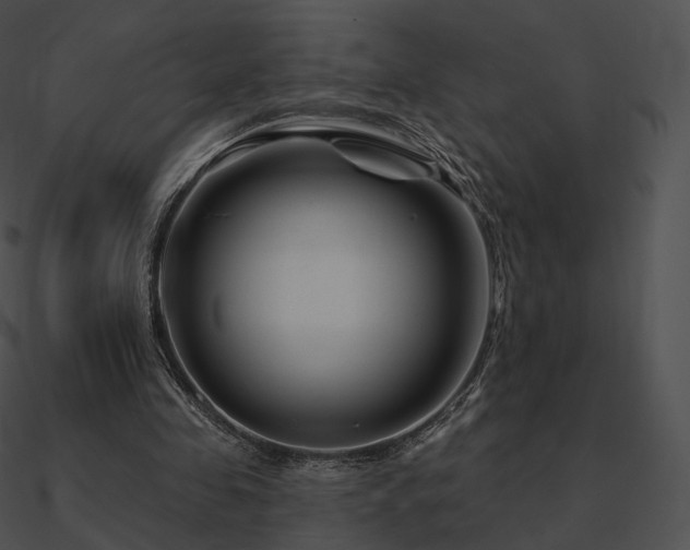 X0000090970341200708021442