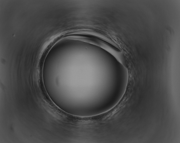 X0000090970342200708021442