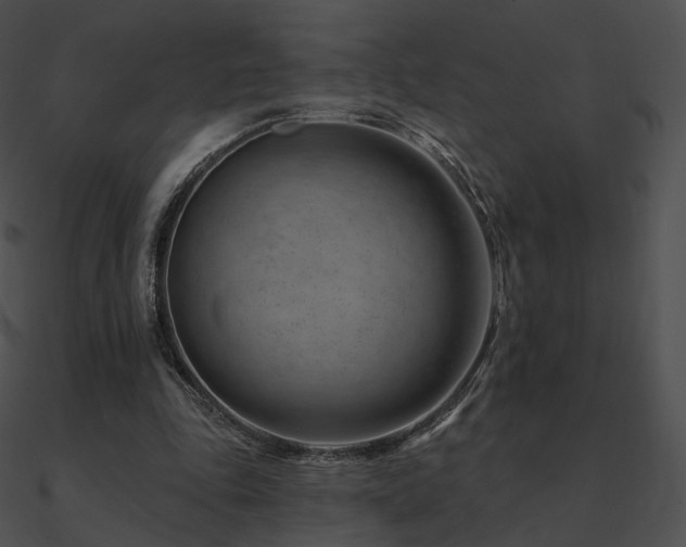 X0000090970343200708021442