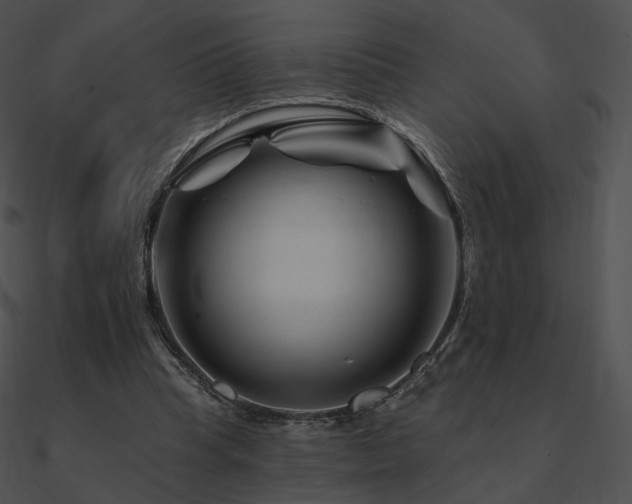 X0000090970345200708021442