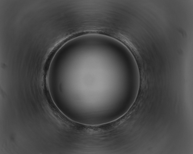 X0000090970346200708021442