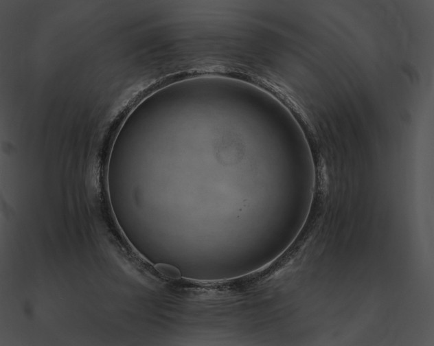 X0000090970347200708021442