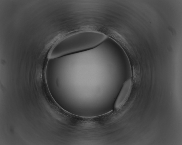 X0000090970348200708021442