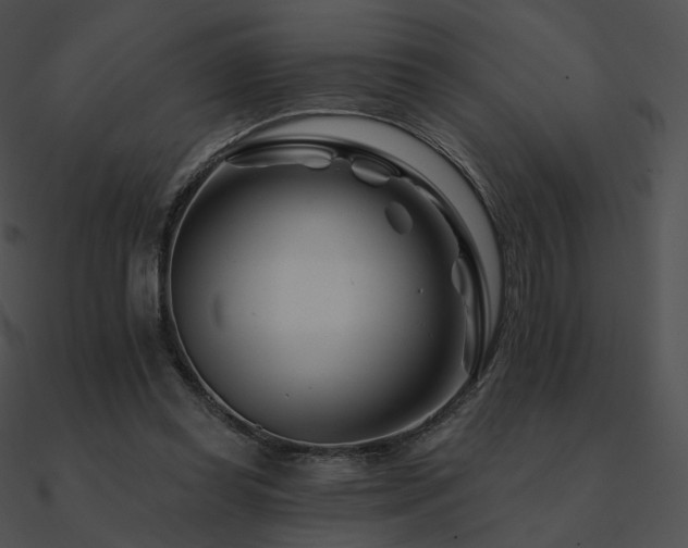 X0000090970349200708021442