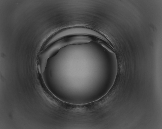 X0000090970350200708021442