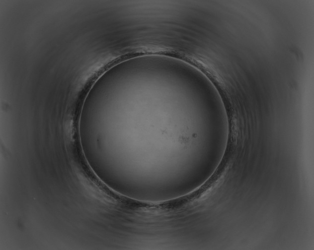 X0000090970351200708021442