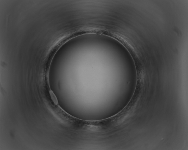 X0000090970352200708021442