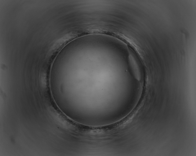 X0000090970353200708021442