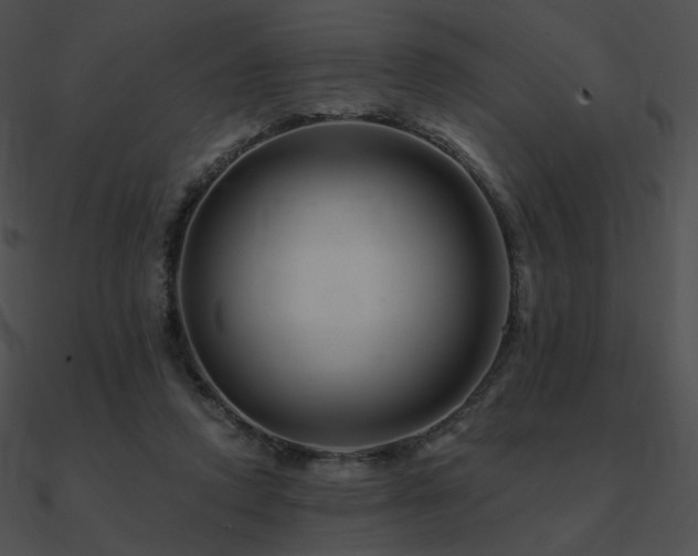 X0000090970354200708021442